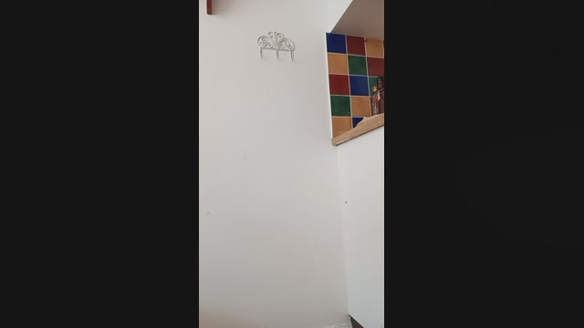 PussyWithWings  29-06-2022